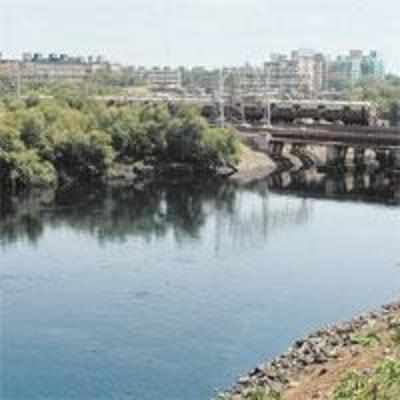 Mithi River will NOT be narrowed