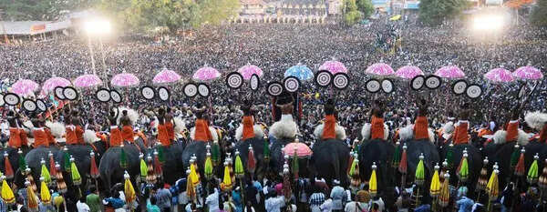 Steps being taken to mitigate heat impact on Pooram