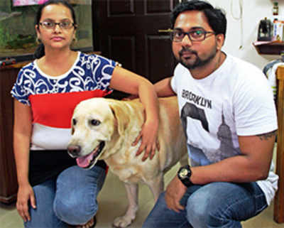 Couple threatened with Rs 5L fine for taking dog in lift