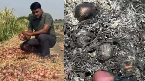 Maharashtra farmer ferries onions 200km, earn just 67 paise/kg; burns remaining crop