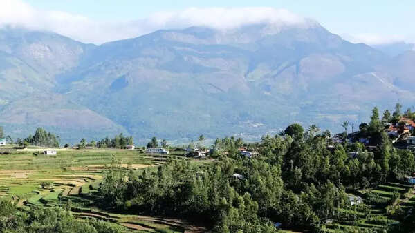 Kerala pushes for Centre’s approval: 2,500 hectares forest land for regularisation; 8,500 families still waiting for land titles
