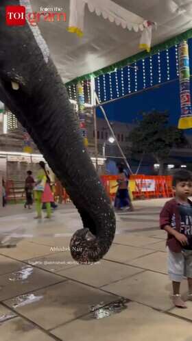 Child Shares Biscuit with Elephant in Heartwarming Moment