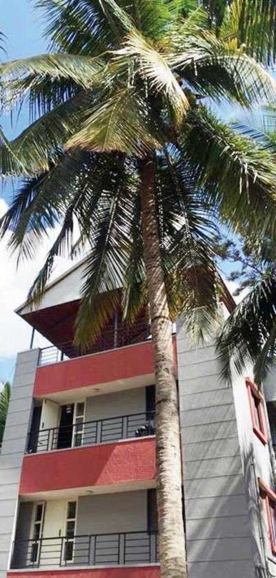 Gritty student stands up to neighbour to protect tree