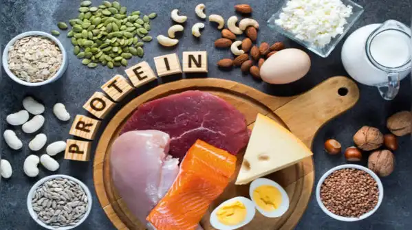 animal protein vs. plant protein