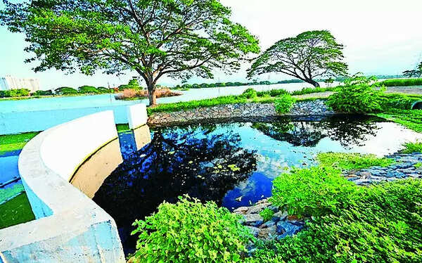 Sewage treatment plant to save lakes from pollution