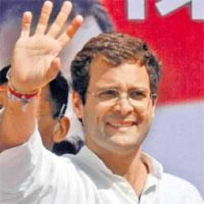 After UP, Rahul to work his magic in Maharashtra