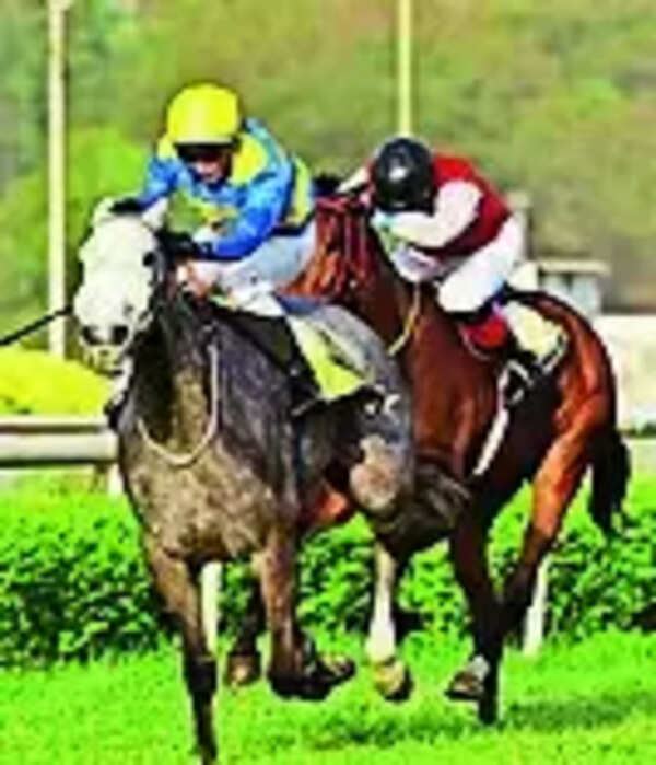 Time And Tide for feature