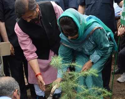 Kashmir: Chief Minister Mehbooba Mufti urges families to plant a sapling for every child born