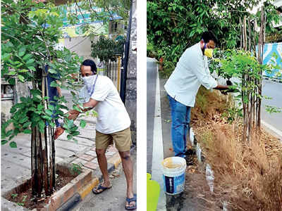 They risk their lives for city’s greenery