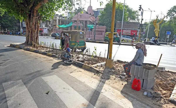 Ahmedabad swaps paver blocks for greenery at 100 junctions