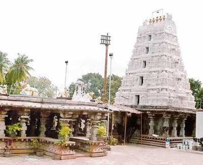 Hair worth Rs 25 lakh gets stolen from temple