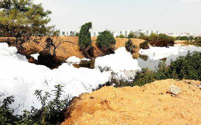 After 8 meetings, dept says rejuvenation of Bellandur Lake not likely before March