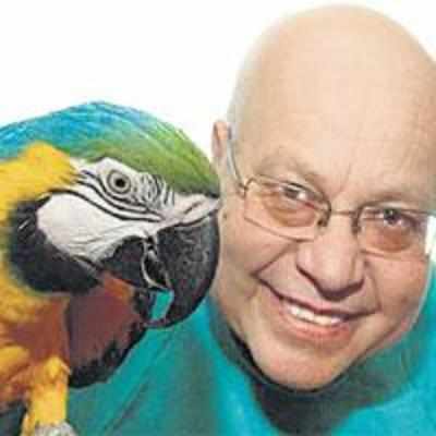 Parrot spreads the F-word
