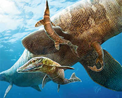 Ancient Mosasaurs gave birth in the open sea