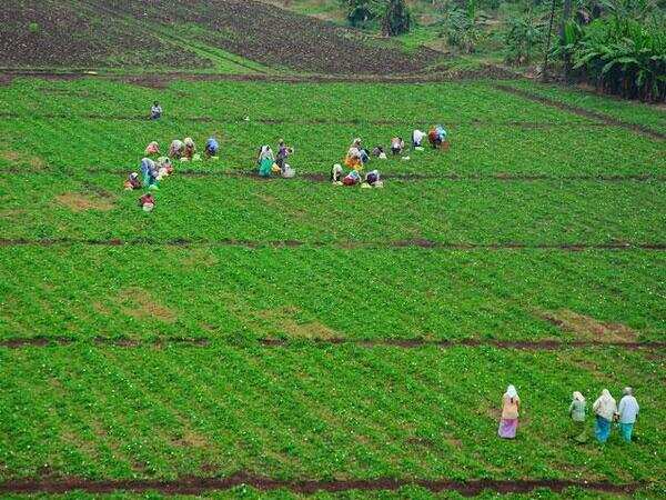 Govt rolls out a model act to legalize land leasing