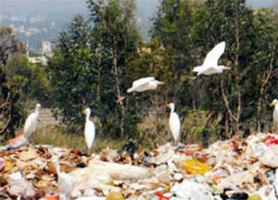 IISc offers longer life for landfills, scientifically