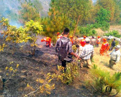 Wildfire guts 1,900 ha forest in U’khand; PMO assures help