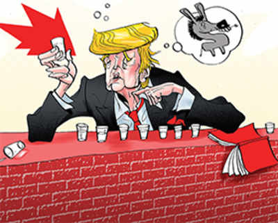 TrumpDiary: Drinking games in Mexico