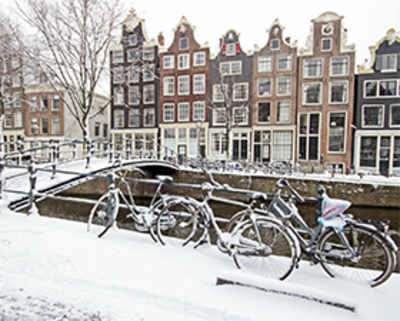 Netas get cold feet after checking Dutch weather