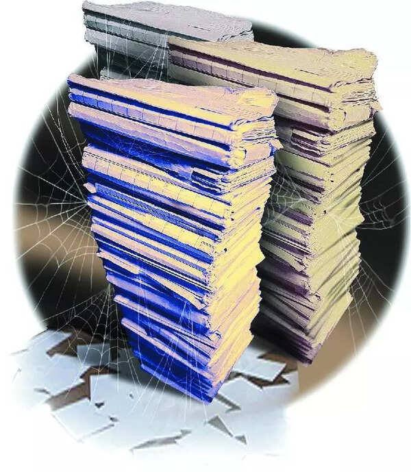 Staff shortage undermines governance in local bodies