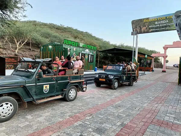 Gujarat’s new zoo to come up inside lion sanctuary