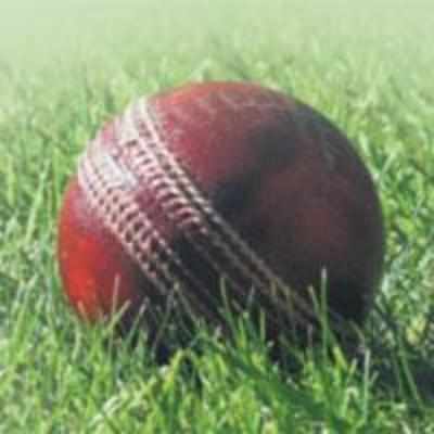 Managing cricket