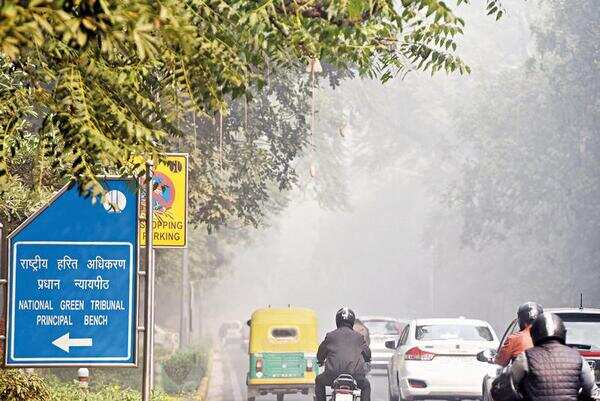 Delhi: Why not all trees may help you breathe easy
