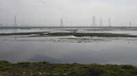 Haryana govt shifts wetland authority to wildlife deptartment amid gaps in protection