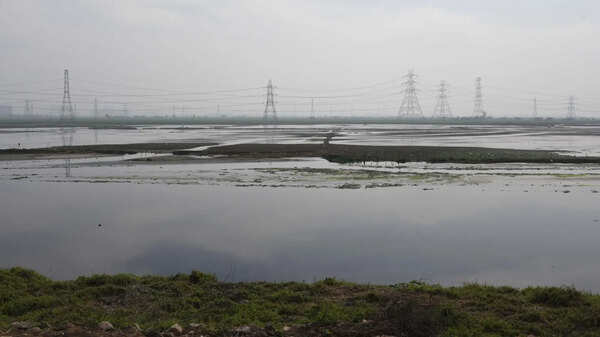 Haryana govt shifts wetland authority to wildlife deptartment amid gaps in protection
