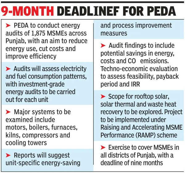 Energy audits: Punjab to help 1,875 MSMEs cut costs, power