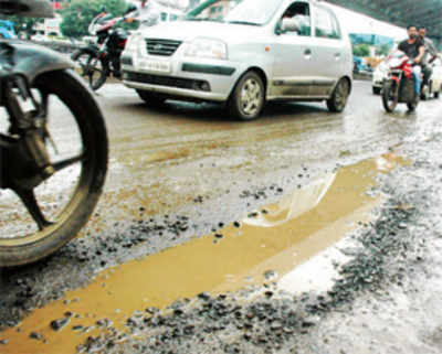 Kunte promises pothole-free Ganpati before High Court