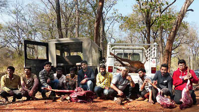 Techies caught red-handed poaching sambar