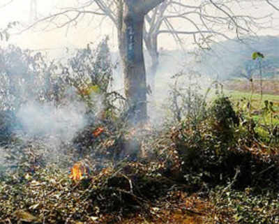 Aarey residents file FIR against MMRDA for damaging 20 trees