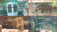 Special arrangements made at Ahmedabad’s Kankaria Zoo for animals to beat the heat 