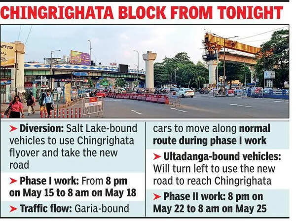 Orange Line extension till Sec V likely by Dec