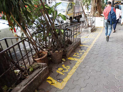 Colaba’s  traffic signals, zebra crossings, even trees and roadside plants are hawking zones