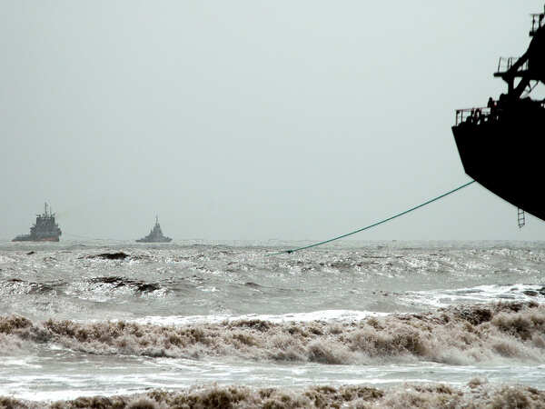 Unsafe cargo handling at ports polluting marine life