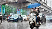 articleShow 103854128