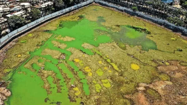 BMC empties Bandra Talao to revive the heritage lake