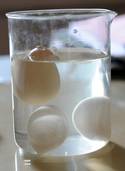 Bursting the 'plastic egg' myth