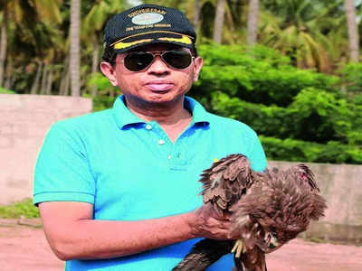 Scorching heat takes a toll on birds, animals