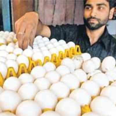 People walk on eggs as chicks get bird flu