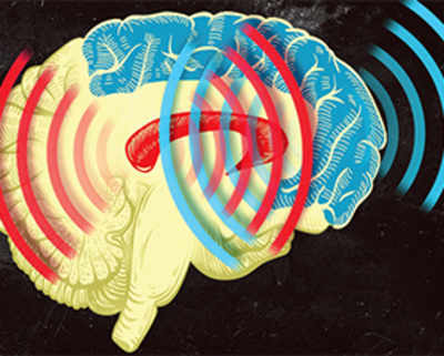 Brain waves in sync enable rapid learning