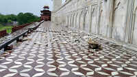 Agra: Thunderstorm damages Taj Mahal's marble and red stone railings 