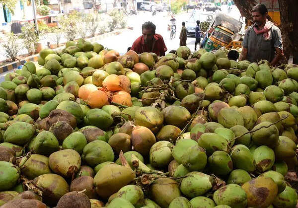 Uddanam imports coconuts amid production drop