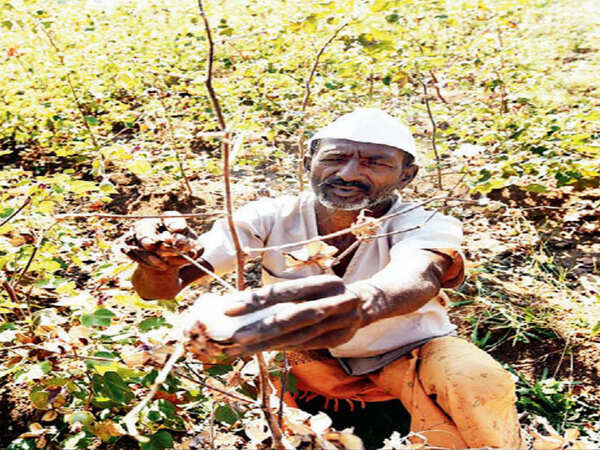 Spurious cotton seeds seized in Hyderabad