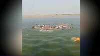 Rajasthan: Boat carrying 50 passengers capsizes in the Chambal river, 4 dead 