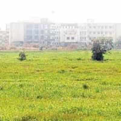 Mumbai University sells grass