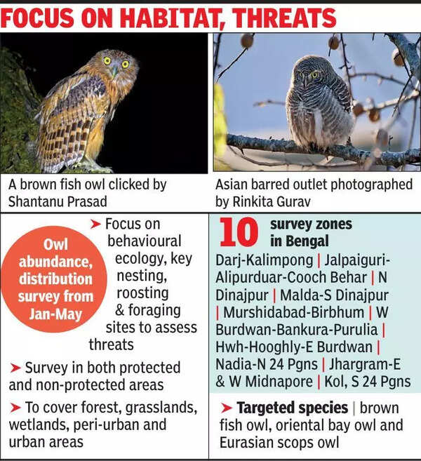 Know your nocturnal neighbour: In a first in India, Bengal goes owl-spotting