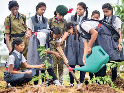 Plant-nurturing lesson finds spot in Maha syllabus